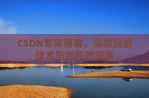 CSDN专家博客，深度洞察技术与创新的源泉
